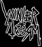 logo Winterstorm (ESP-2)